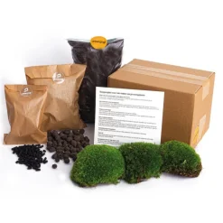 Exotenherz Terrariums Et Compositions | - Green your bottle - kit complet pour ton propre jardin de bouteilles - kit de démarrage sans verre - sans plantes