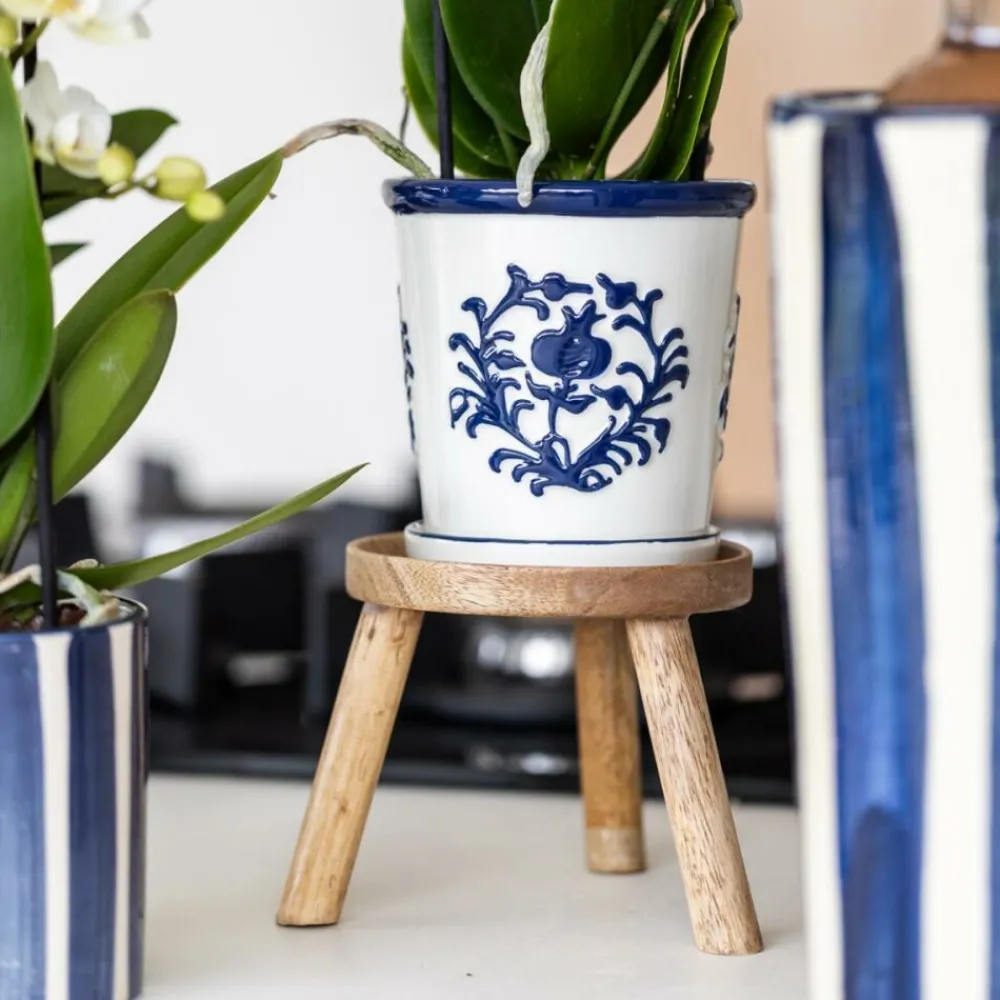 Exotenherz - Kolibri orchidée phalaenopsis blanche amabilis + pot décoratif malaga bleu - taille du pot 9cm plante d'intérieur fleurie Clearance