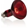 Exo Terra - Basking spot lampe infrarouge 75 w New