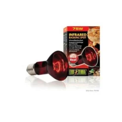 Exo Terra - Basking spot lampe infrarouge 75 w New