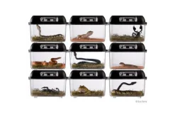 Exo Terra Terrariums, Vivariums Et Accessoires | - Boite d'élevage - breeding box - medium - boîte de transport ou d'élevage pour reptiles (lézards, serpents, tortues), amphibien