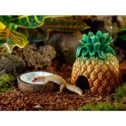 Exo Terra - Bol à eau en forme de noix de coco reptiles New
