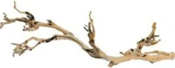 Exo Terra - Branche de vigne sable reptiles petit Clearance