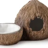 Exo Terra - Cachette avec bol à eau noix de coco reptiles Best