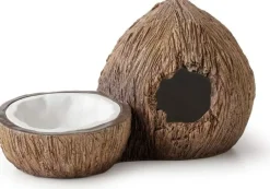 Exo Terra - Cachette avec bol à eau noix de coco reptiles Best