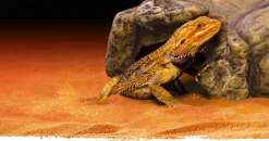 Exo Terra - Cachette reptile grotte tres grand Clearance