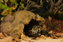 Exo Terra - Caverne / grotte tortue Hot