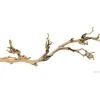 Exo Terra - Décoration pied de vigne sablé - grand modele - pour terrarium Clearance