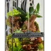 Exo Terra Terrariums, Vivariums Et Accessoires | - terr/paludarium mini/x-tall, 30x30x60cm