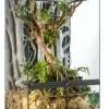 Exo Terra Terrariums, Vivariums Et Accessoires | - terr/paludarium m/x-tall, 60x45x90cm