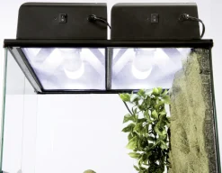 Exo Terra Eclairage | - Galerie compact top