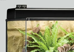 Exo Terra Terrariums, Vivariums Et Accessoires | - Hygromètre digital terrarium