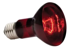 Exo Terra Eclairage | - Lampe infrared basking spot reptiles