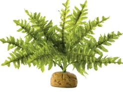 Exo Terra - Plante fougere de boston Outlet