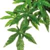 Exo Terra Décoration Et Substrats | - Plantes rainforest à suspendre feuillage abutilon grand
