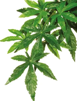 Exo Terra Décoration Et Substrats | - Plantes rainforest à suspendre feuillage abutilon grand