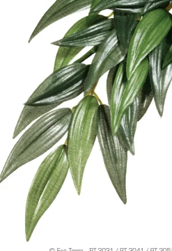 Exo Terra Décoration Et Substrats | - Plantes rainforest à suspendre feuillage ruscus grand