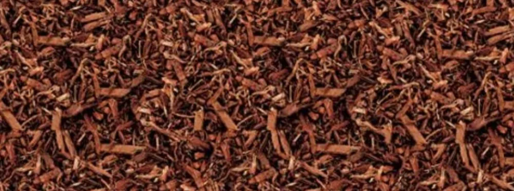 Exo Terra Décoration Et Substrats | - Substrat naturel jungle earth terrariums 8.8l