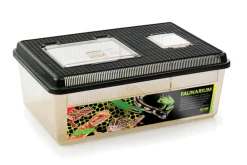 Exo Terra Terrariums, Vivariums Et Accessoires | - Terrarium polyvalent en plastique - faunarium plat large pour reptiles (lézards, serpents), amphibiens et invertébrés