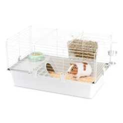 Ferplast - Cage spacieuse pour cochons d'inde cavie 80, système de fermeture sécurité, accessoires inclus, en métal vernis gris et plastique Discount