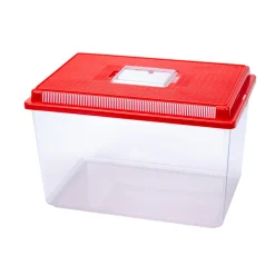 NA Aquariums Et Meubles | Ferplast conteneur en plastique pour petits animaux geo extra large aquarium bac 11 l pour poissons, , terrarium, insectes, bac à