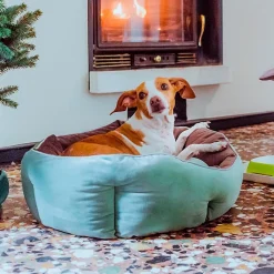 NA Ferplast divan pour chats et chiens queen 60 con coussin, couchage rembourré pour animaux, double-face, velours doux, lavable, Clearance