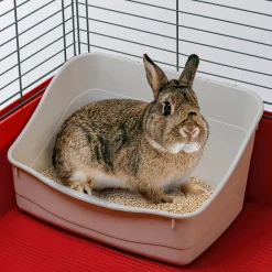 NA Ferplast litière pour lapins l305 toilette pour cages rongeurs, lapins, petits animaux, facile à nettoyage, hygiénique, 37 x 27 x Discount