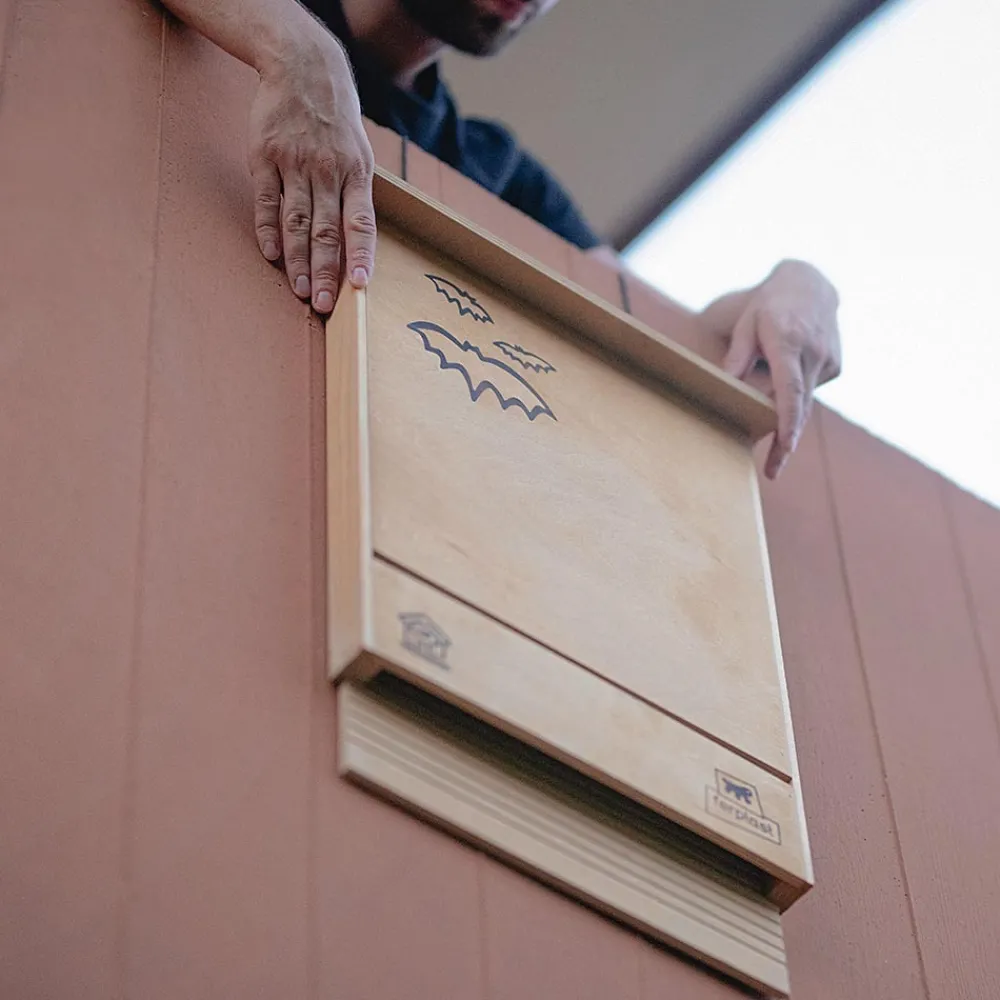 NA Ferplast maison pour chauve-souris bat house nid pour chauve-souris en bois fsc, protection contre les moustiques et insectes Discount
