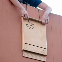NA Ferplast maison pour chauve-souris bat house nid pour chauve-souris en bois fsc, protection contre les moustiques et insectes Discount