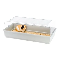 NA Cages Et Accessoires | Ferplast maxi du cage pour rongeurs pour hamsters, cochons d'inde, cochons d'inde, lapins, en plastique. 99x51,5xh36cm