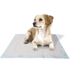 Ferplast Education | - Tapis hygiénique pour chiens genico basic, 60x60 cm