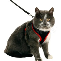 Flamingo - Harnais pour chat, couleur noir et rouge, taille m, réglable New