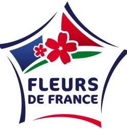 Fleuron D'anjou Plants De Légumes Et Aromatiques | - Plant de Citronnelle de madagascar pac pot 1l
