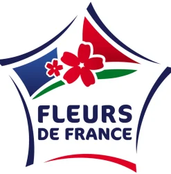 Fleuron D'anjou Petits Fruits | - Plant de Vigne muscat de hambourg pot 1,3 l