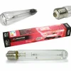 Florastar - Ampoule hps 600w hro floraison Discount