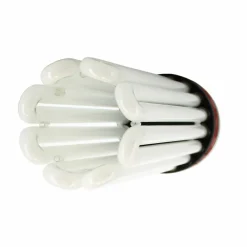 Florastar - Lampe cfl 250w floraison 2100k° Online