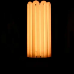 Florastar - Lampe cfl 250w floraison 2100k° Online