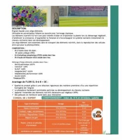 Florivert Engrais | - Engrais liquide flori el 8-6-8 oe 10l favorise le feuillage et les racines, pour arrosage ou pulvérisation -