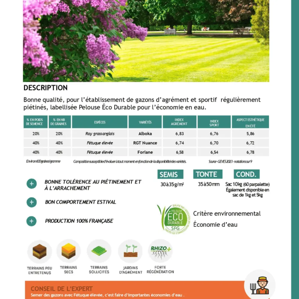 Florivert Gazons | - Semences gazon terra extrême 1 kg, faible besoin en eau et bel aspect - 1206451