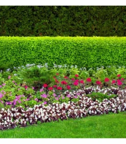Florivert - Terreau complet prêt à l'emploi flori fleurissement pae 70l, idéal pour pots et balcon - neg01617 New