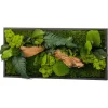 Flowerbox - Tableau végétal stabilisé canopé rectangle 57 x 27 cm Outlet