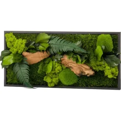 Flowerbox - Tableau végétal stabilisé canopé rectangle 57 x 27 cm Outlet
