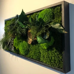 Flowerbox - Tableau végétal stabilisé canopé rectangle 57 x 27 cm Outlet