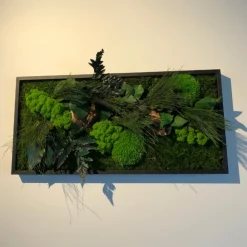 Flowerbox - Tableau végétal stabilisé canopé rectangle 57 x 27 cm Outlet