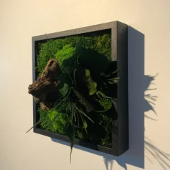 Flowerbox - Tableau végétal stabilisé canopé mono Sale