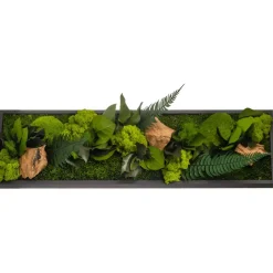 Flowerbox Terrariums Et Compositions | - Tableau végétal stabilisé canopé panoramic 70 x 20 cm