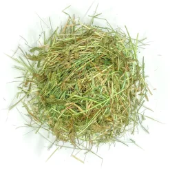 NA Foin aromatisé aux feuilles de tilleul pour lapins et rongeurs Hot