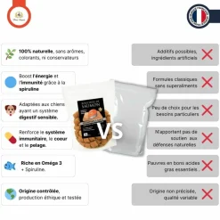 France Croquettes Alimentation Et Friandises | - Bouchées au saumon 500g -