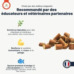 France Croquettes Alimentation Et Friandises | - Bouchées au saumon 500g -