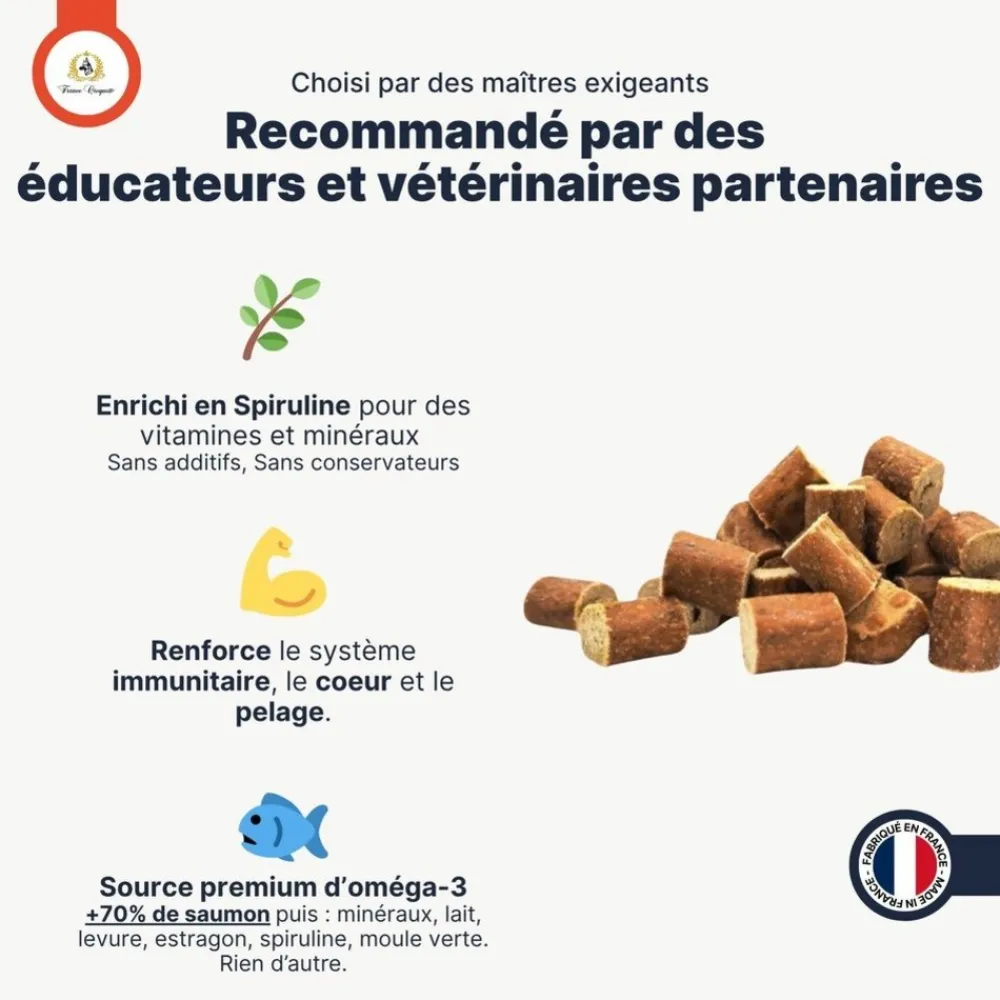France Croquettes Alimentation Et Friandises | - Bouchées au saumon 500g -